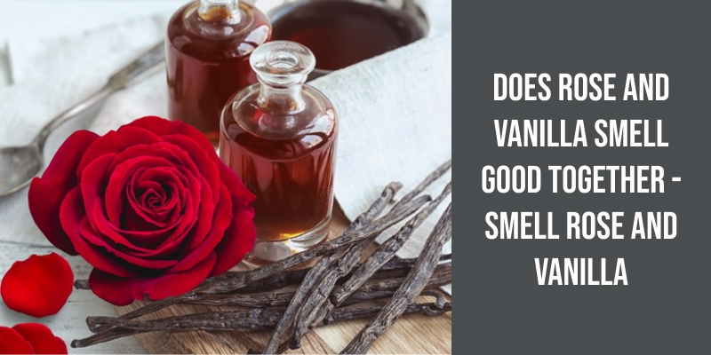 Does Rose and Vanilla Smell Good Together - Smell Rose and Vanilla