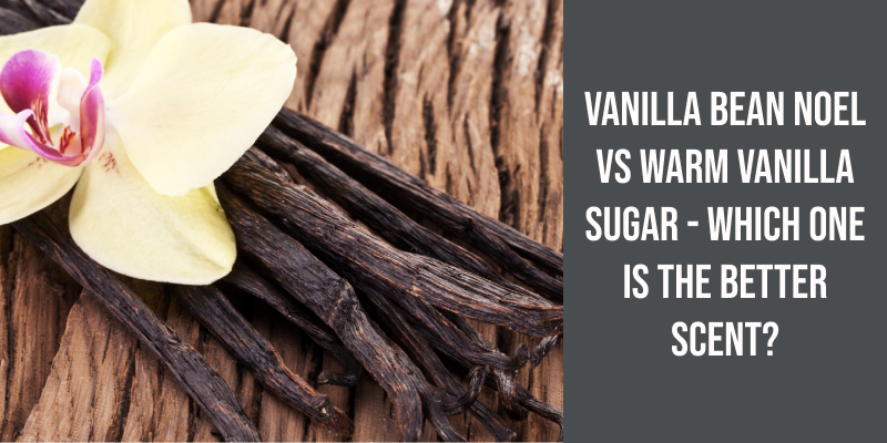 Vanilla Bean Noel vs Warm Vanilla Sugar - Which One Is the Better Scent?