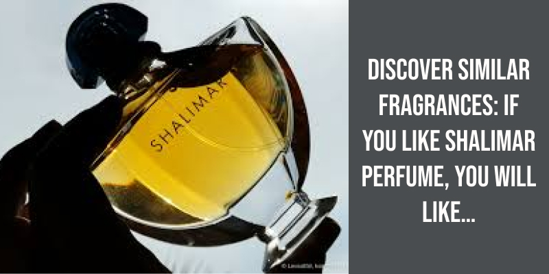 Discover Similar Fragrances: If You Like Shalimar Perfume, You Will Like…