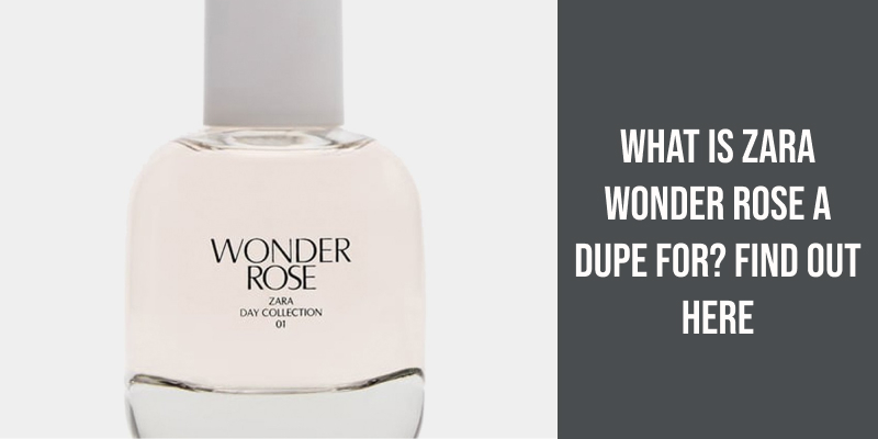 What Is Zara Wonder Rose a Dupe For? Find Out Here