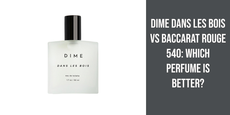 Dime Dans Les Bois vs Baccarat Rouge 540: Which Perfume Is Better?
