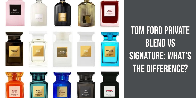 Tom Ford Private Blend vs Signature: What's the Difference?