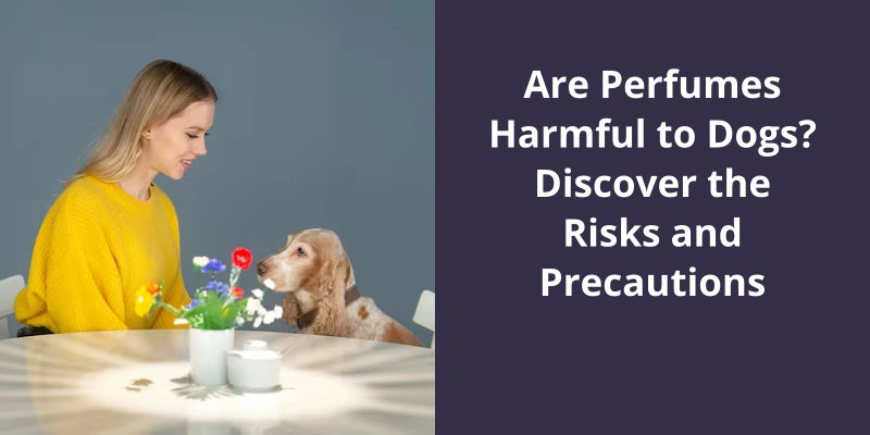 Are Perfumes Harmful To Dogs Discover The Risks And Precautions